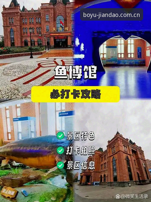 博鱼平台官方2026极简门赛事入口变更深度分析：从旧版兼容到v3.0修复的完整操作指南
